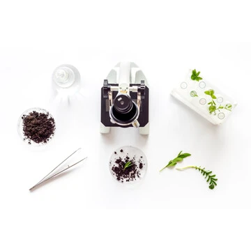 Biological Microscope