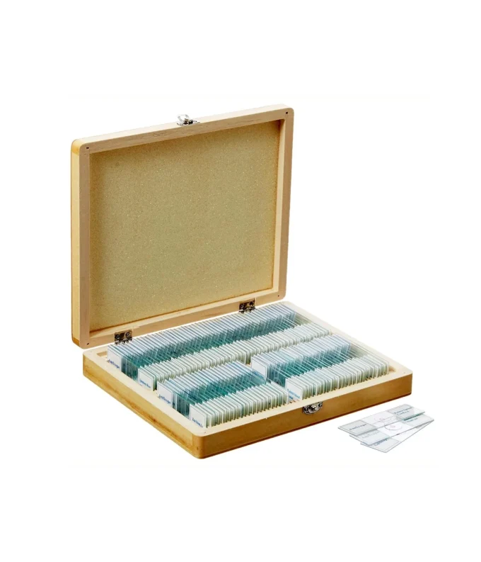 100pc Prepared Glass Microscope Slides in Wood Case
