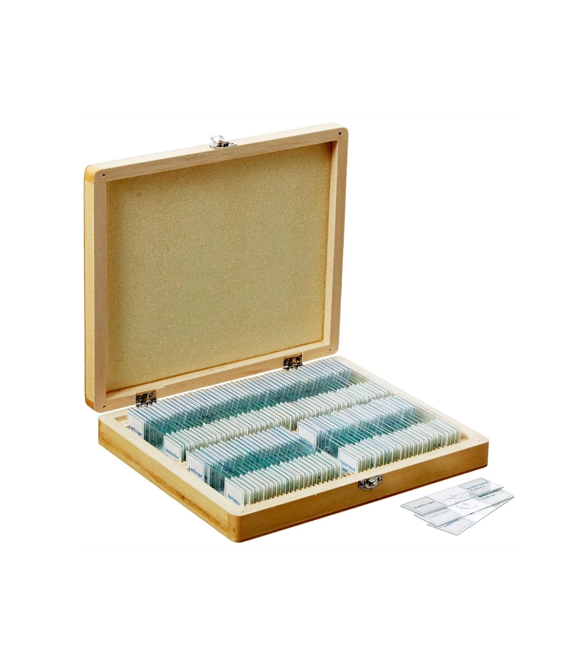 100pc Prepared Glass Microscope Slides
